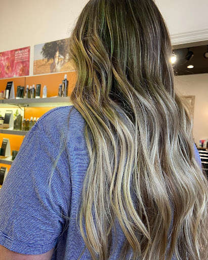 Get Shiny, Radiant Color With Aveda's New Full Spectrum Hair Color |  Tangerine Salon and Spa | Murfreesboro, TN